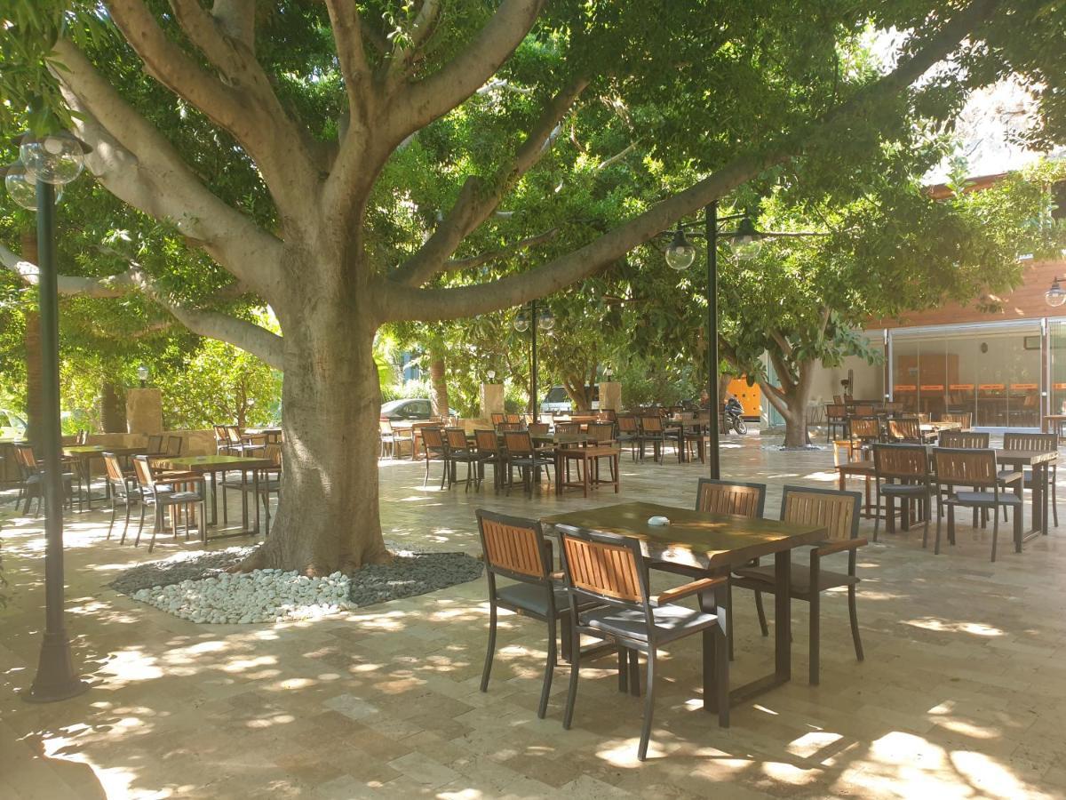 Cirali Hotel Hotel 3*