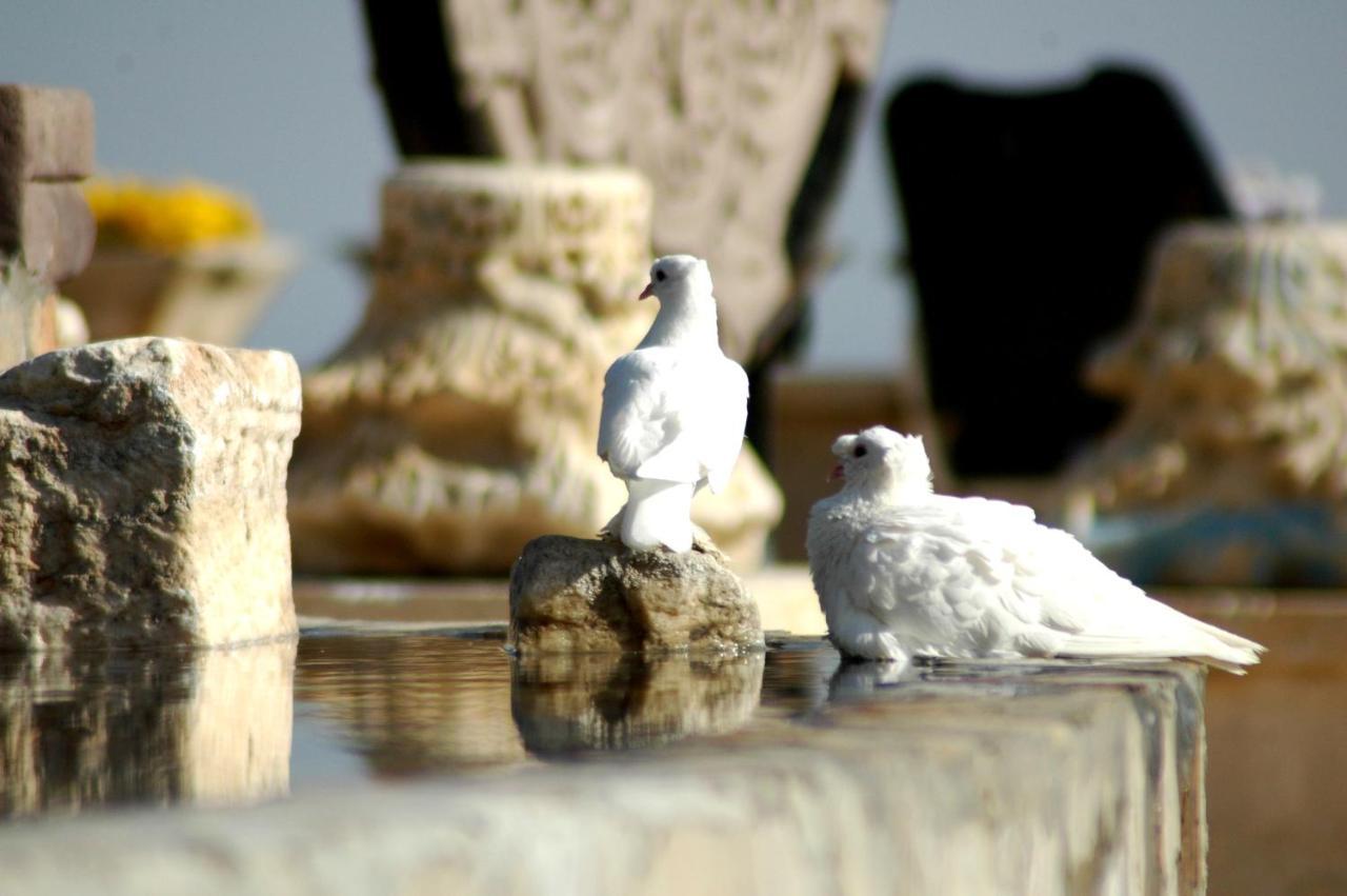 Museum - Relais & Chateaux 4*