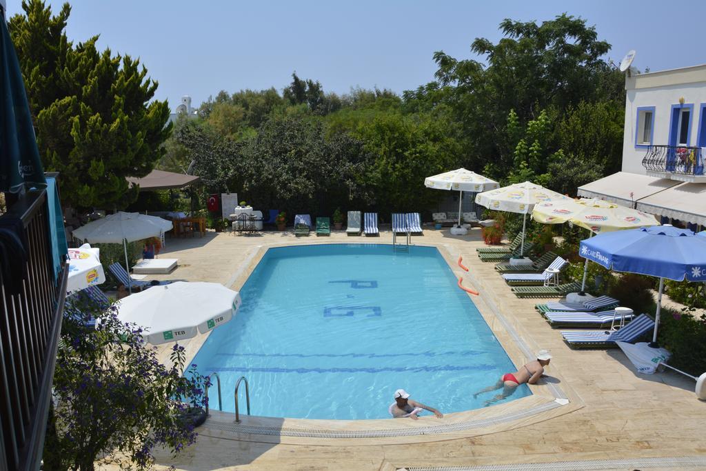 Paradise Garden