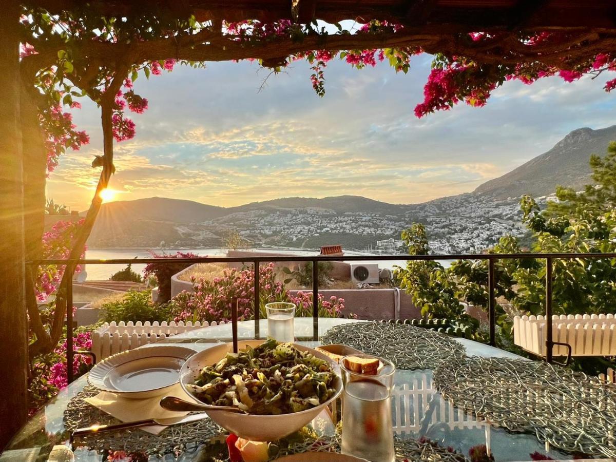 Sea View Bougainvillea 52