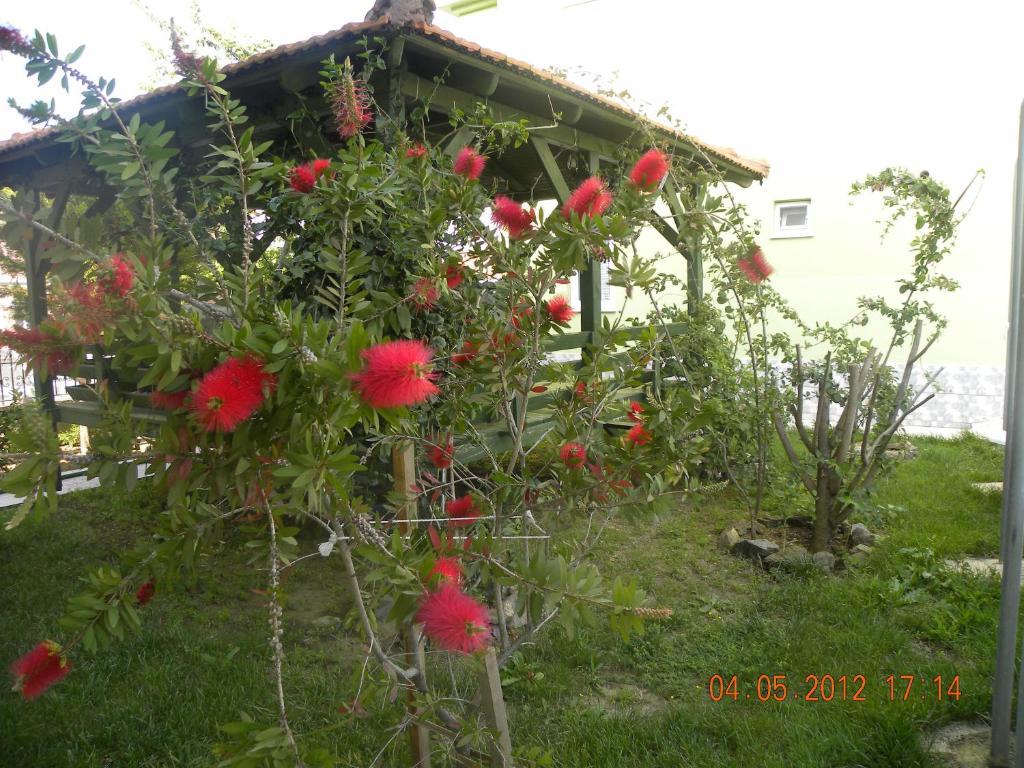Ozalp C Aparthotel