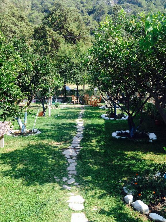 Gelincik Homestay