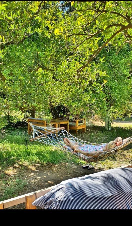 Homestay Sakli Bahce Cirali