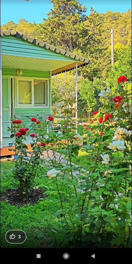 Sakli Bahce Homestay *