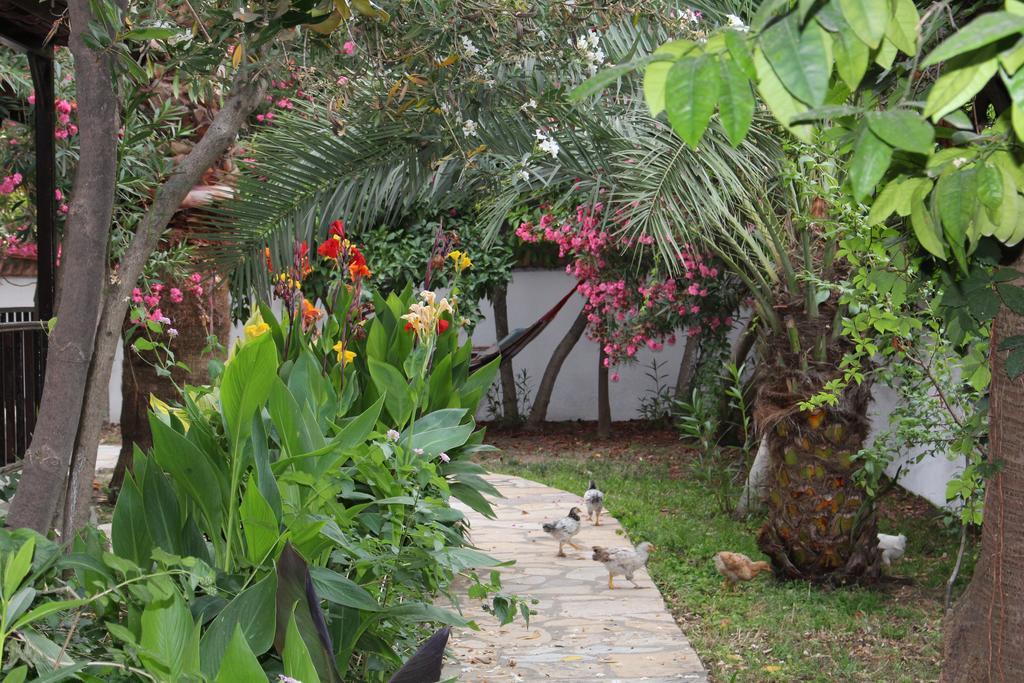 Turtle Beach Bungalows Apartment