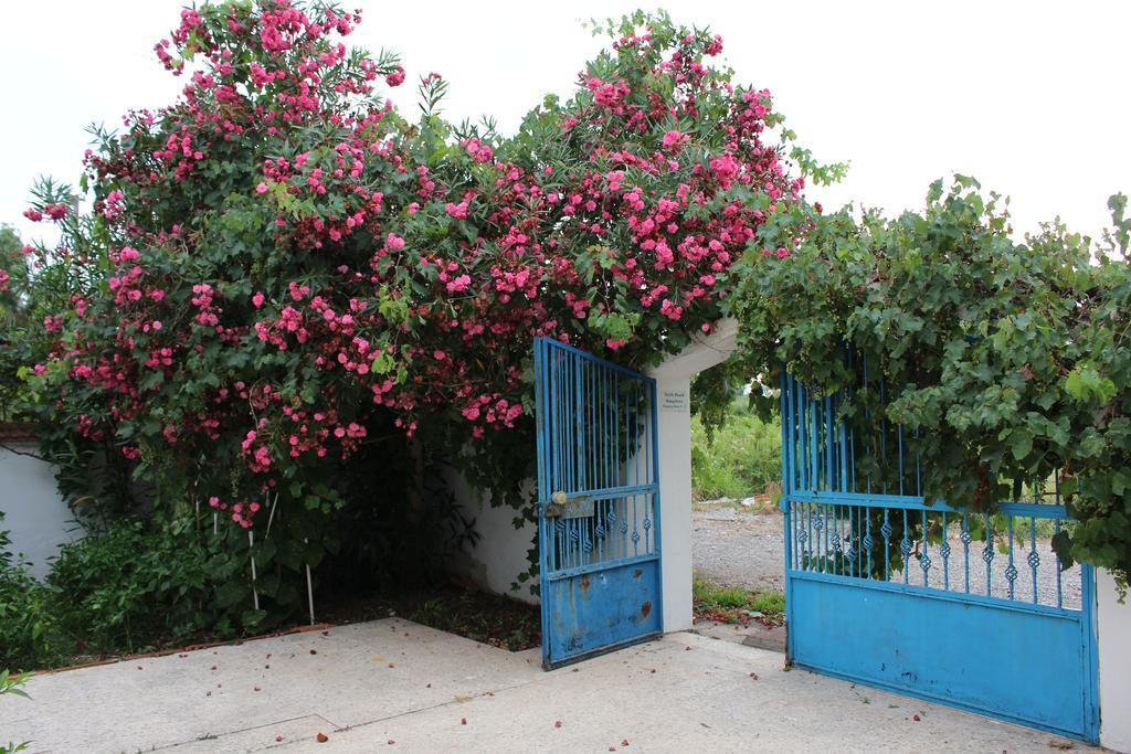 Turtle Beach Bungalows *