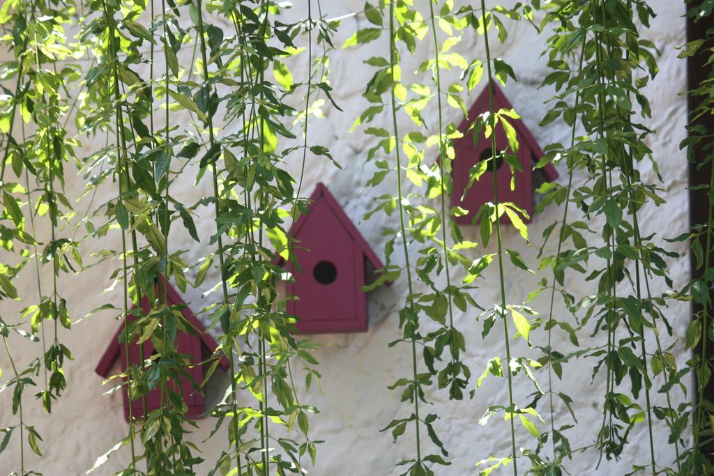 Happy Caretta Guest house Dalyan
