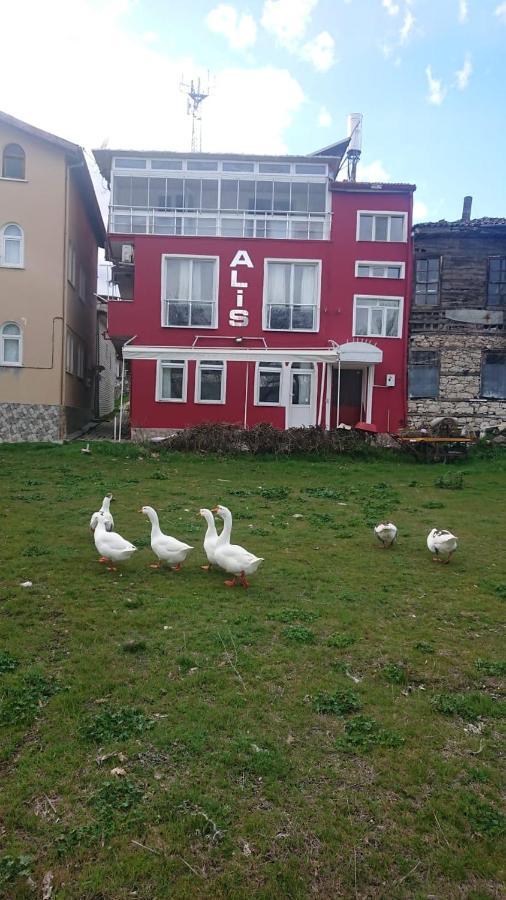 Bed & Breakfast Ali's Egirdir