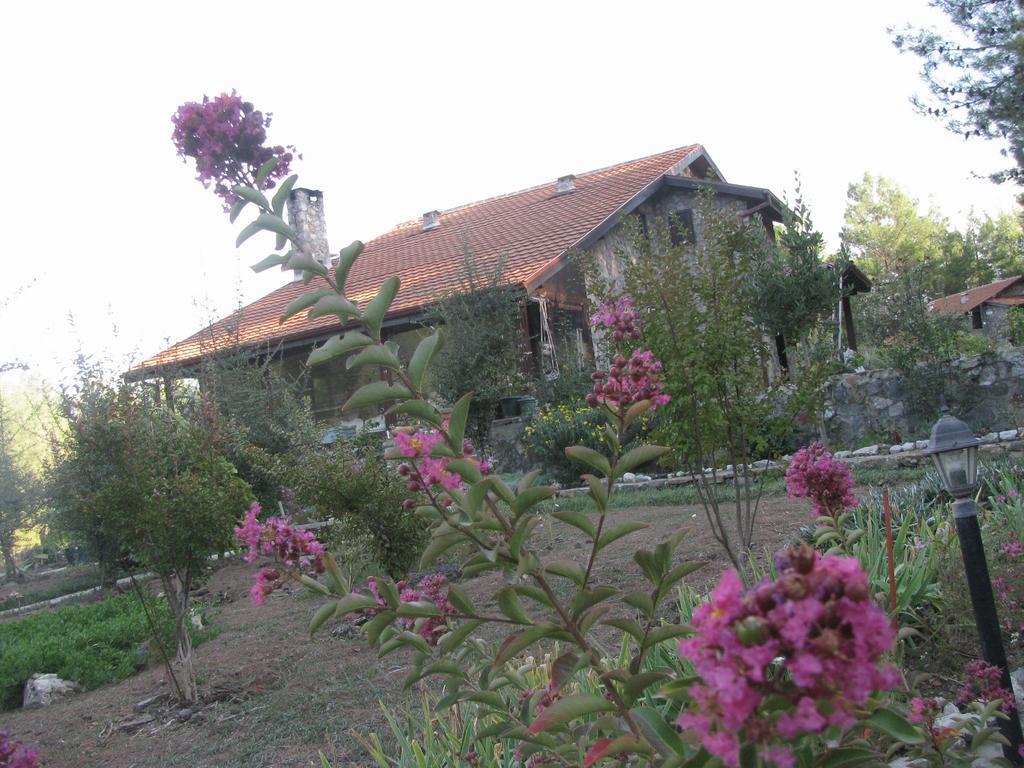 Dikencik Country house *