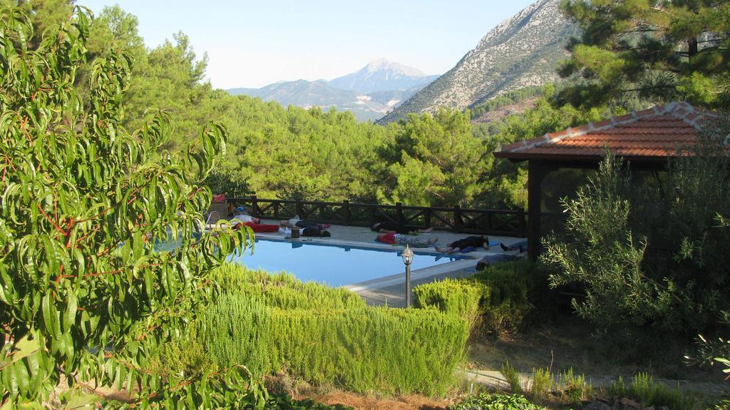 Dikencik Country house *