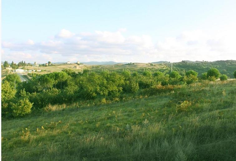Pine Garden 3* Agva (Marmara)