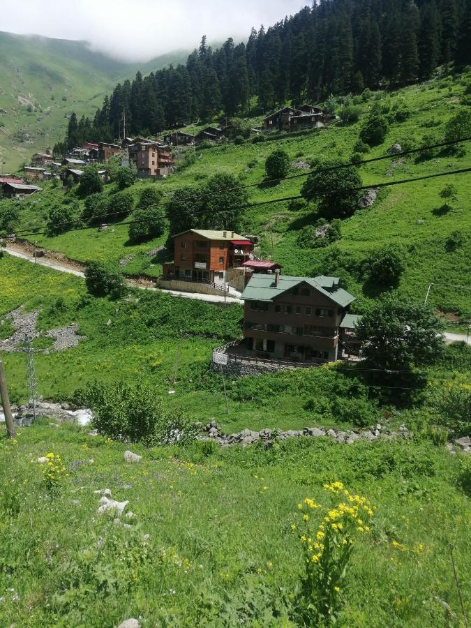 Dagevi Butik Aparthotel Uzungol