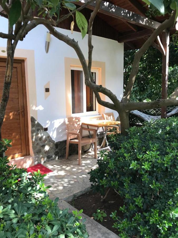 Ruya Homestay Cirali