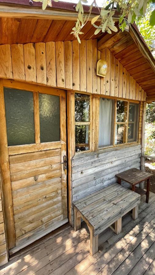 Olive Garden Kabak Faralya