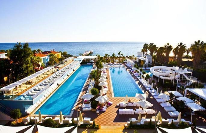 Q Premium 4*