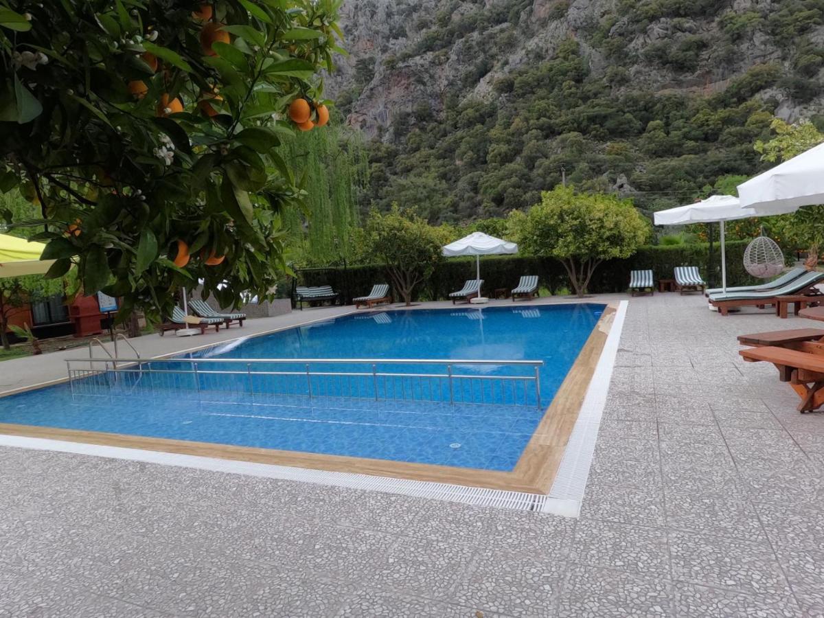 Arcadia Villa