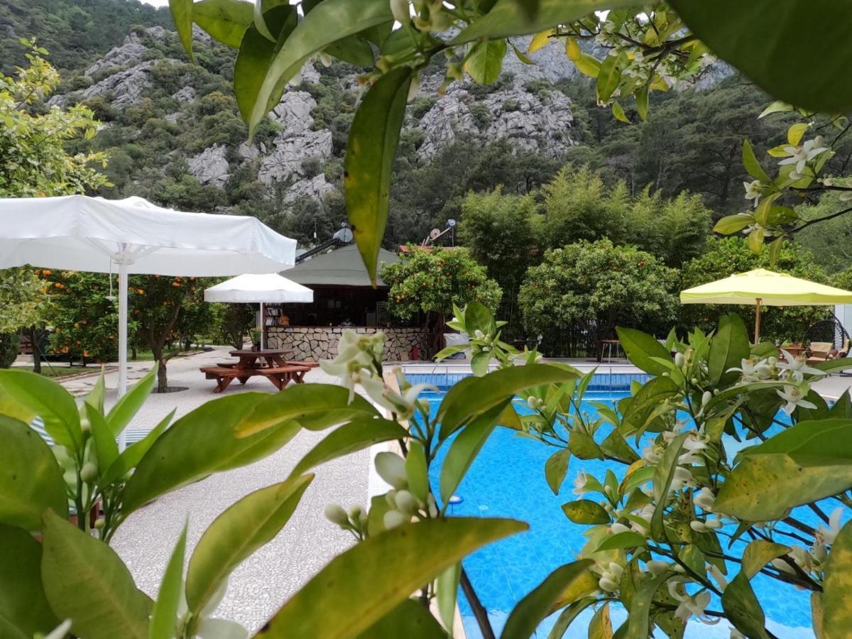 Arcadia Villa