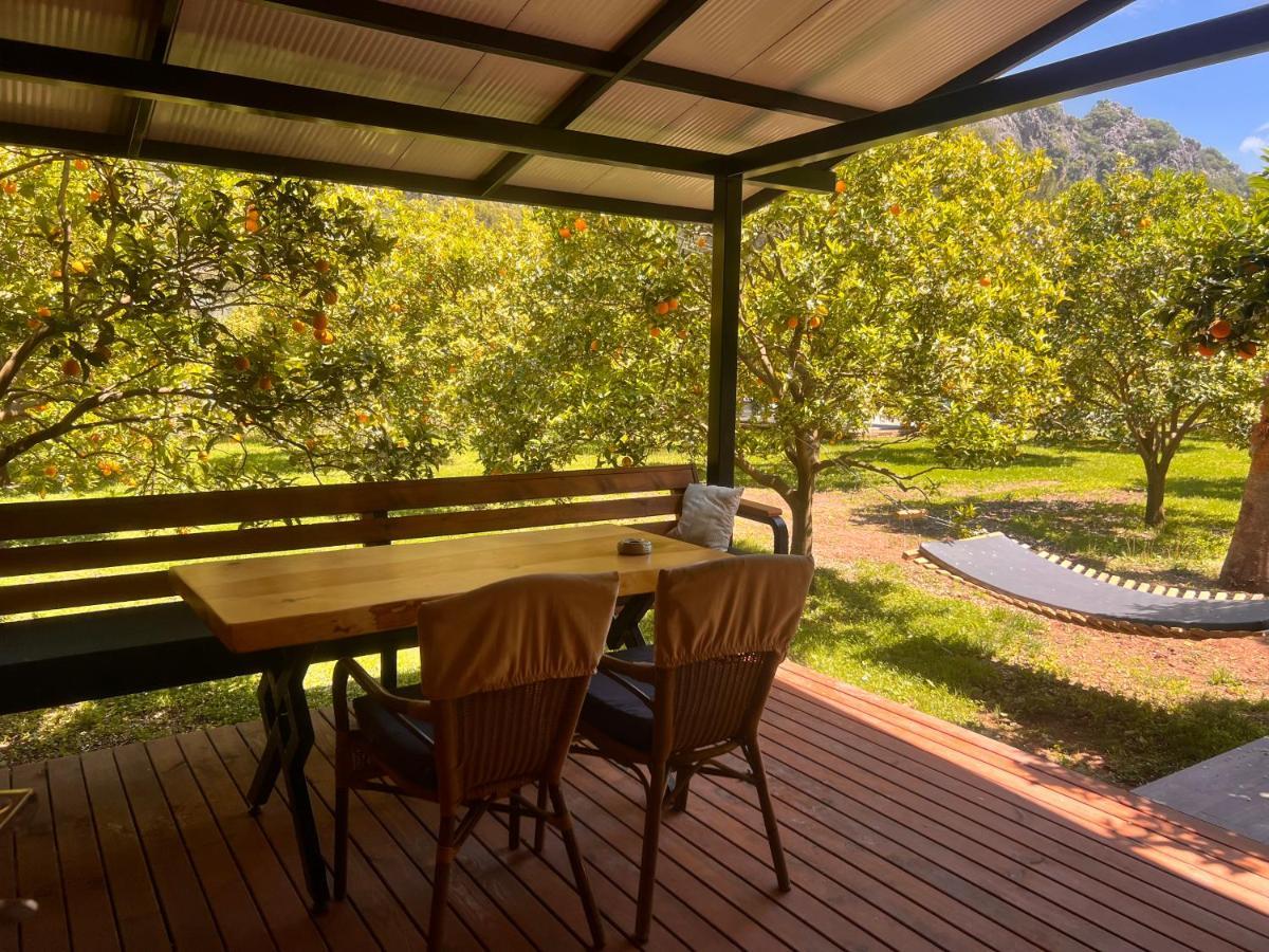 Villa Arcadia
