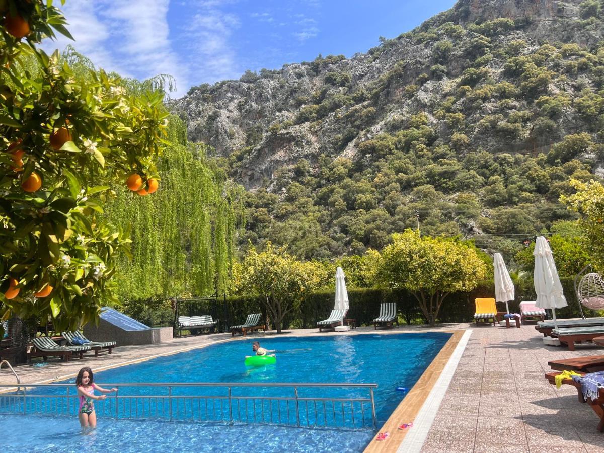 Arcadia Villa *