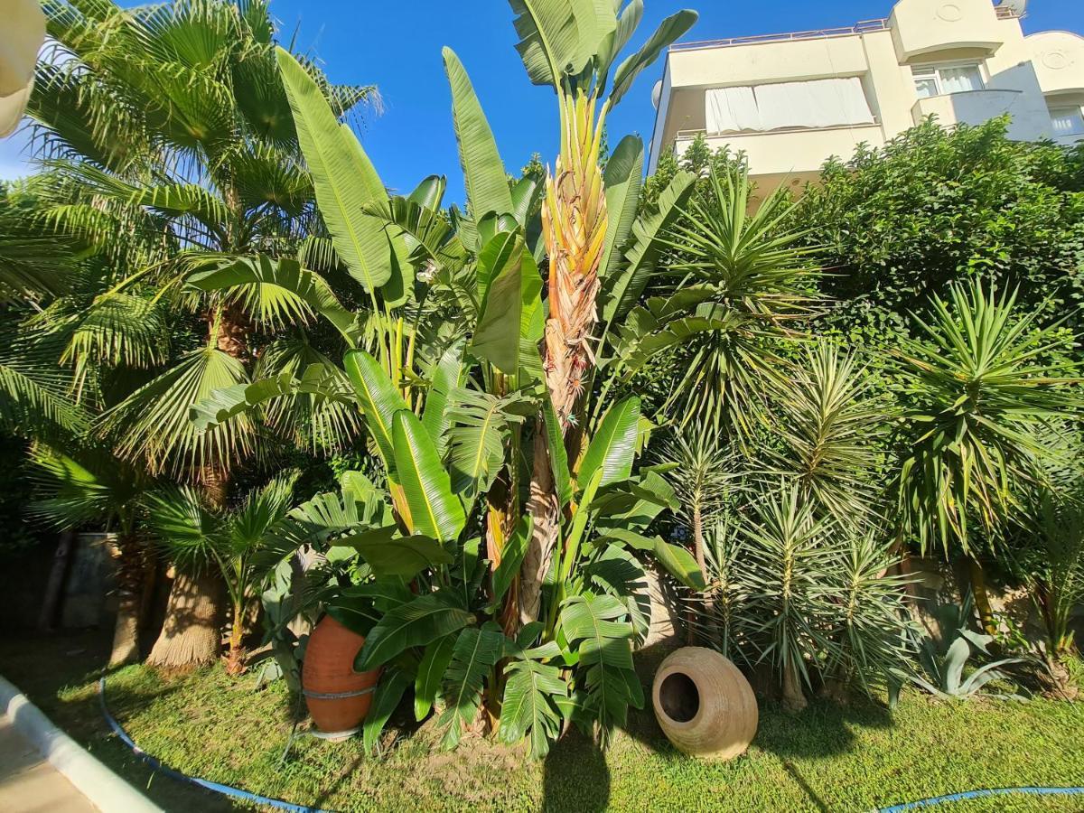 Classic Apartment Kemer
