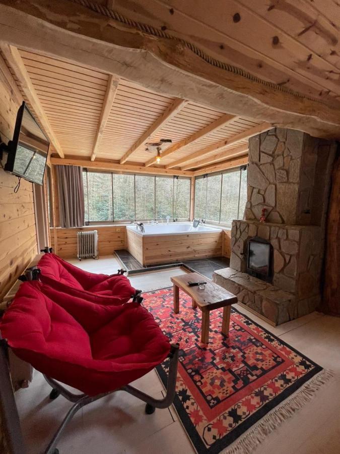 Hotel Valley Rize