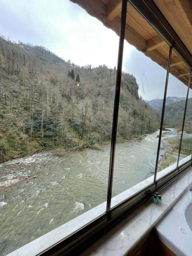 Valley Rize