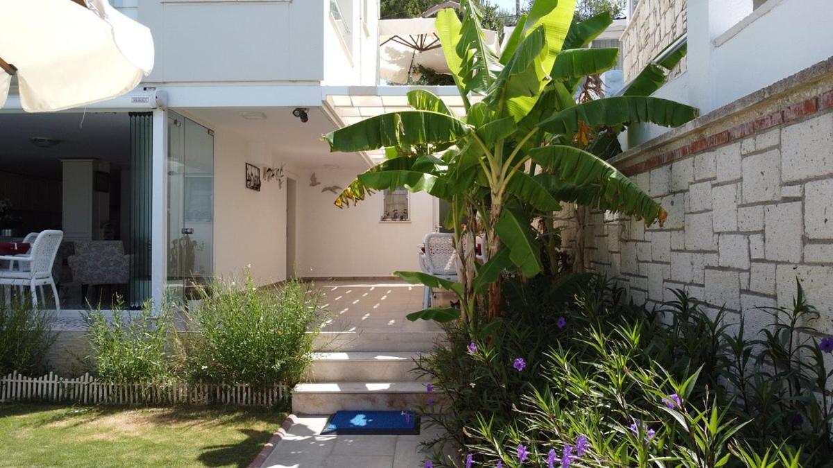 Hotel Lara Ilica 2*