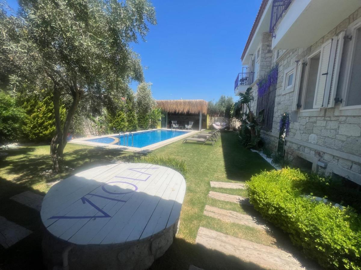 Viola (adults Only) 2* Alacati