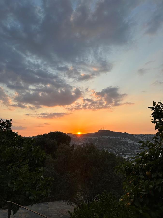 Mandra - Nature Living * Bodrum