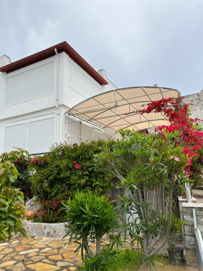 Bella Vista - Near The And Airport Villa *
