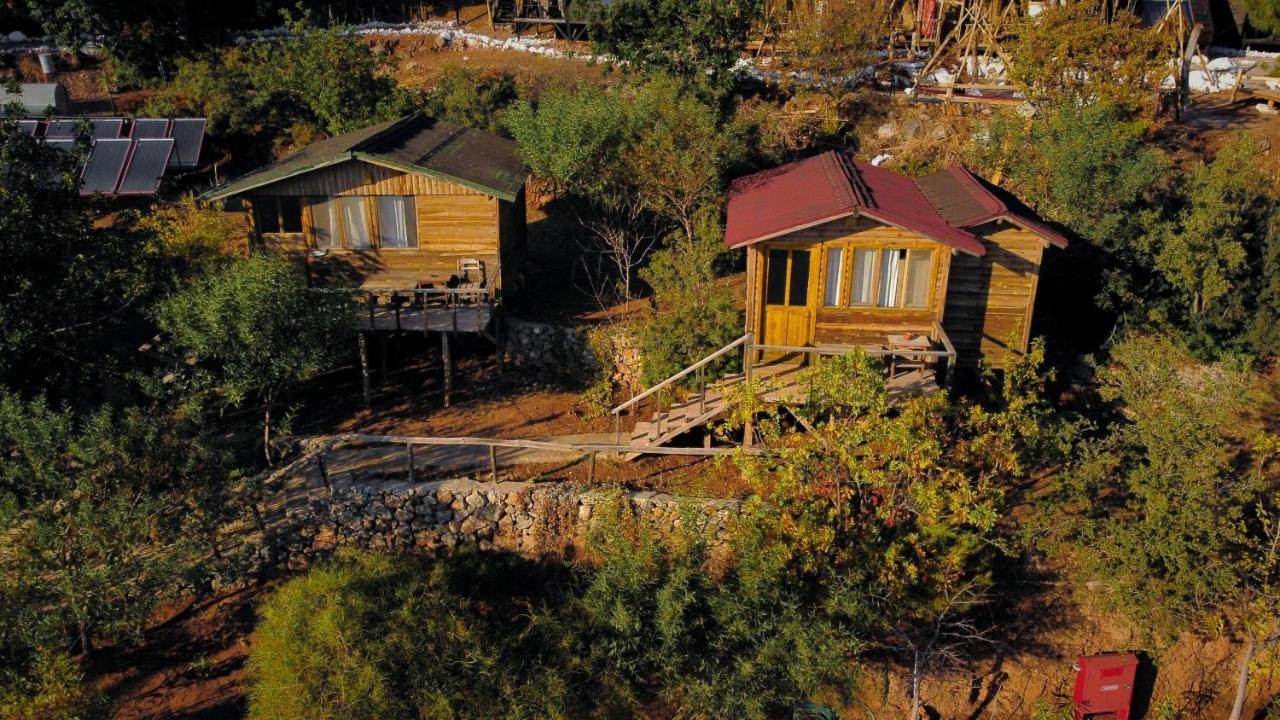 Olive Garden Kabak Holiday park 2*