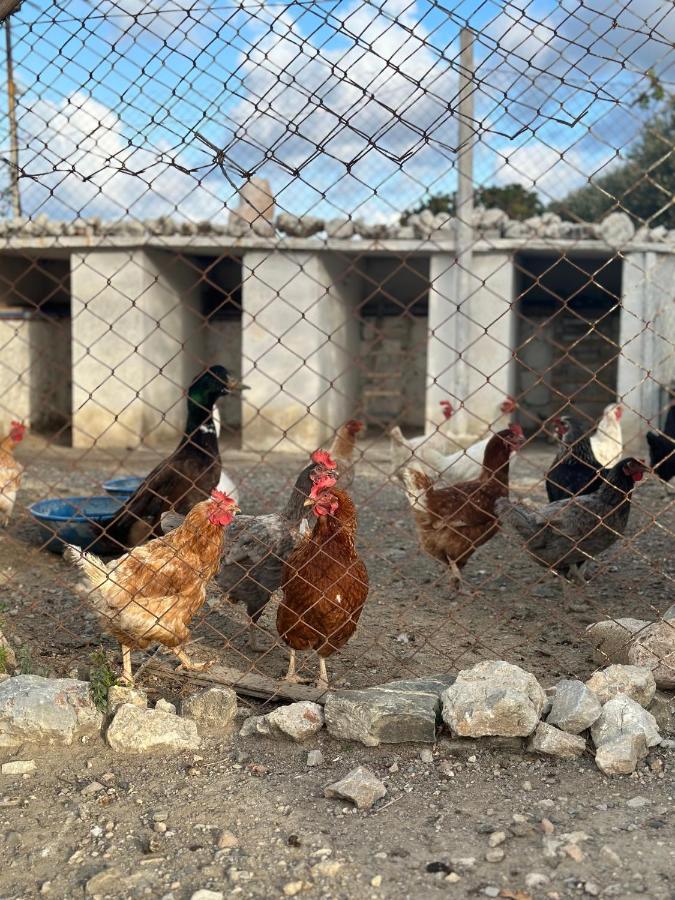 Bed & Breakfast Goknar Knidos Nature (adults Only) Datca