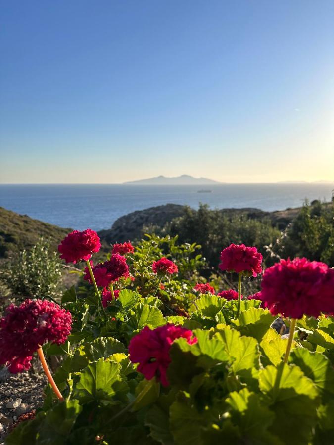 Bed & Breakfast Goknar Knidos Nature (adults Only) *