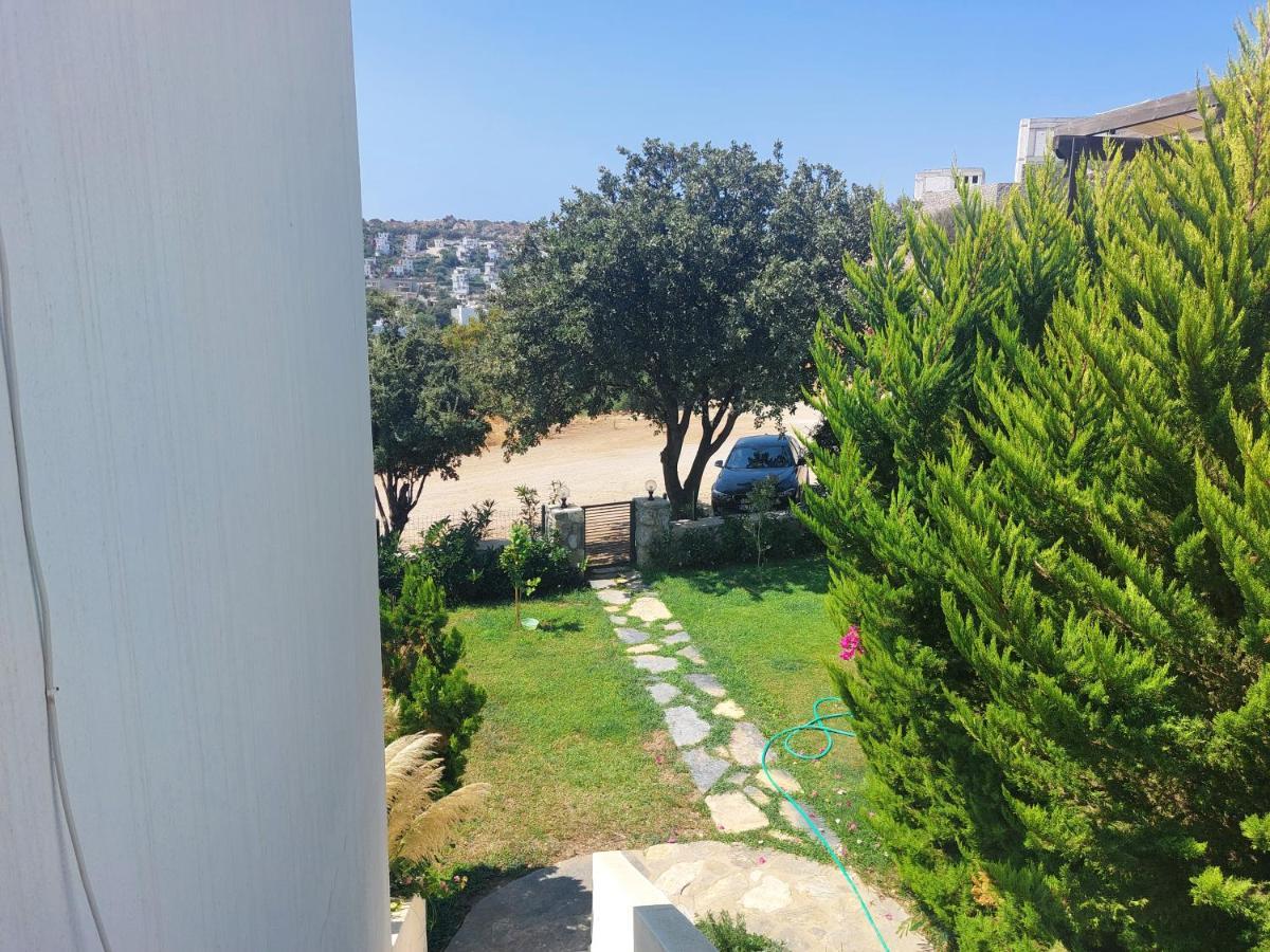 Apartment Ibak *