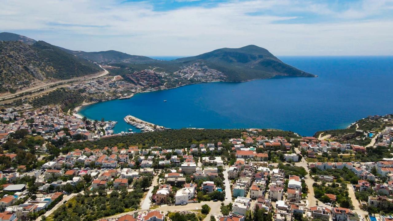 Yigit * Kalkan
