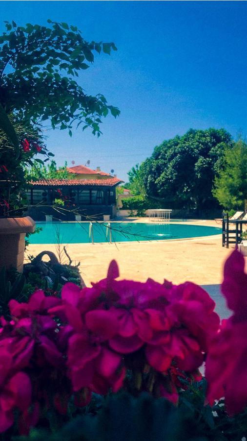Hotel Palme 2*