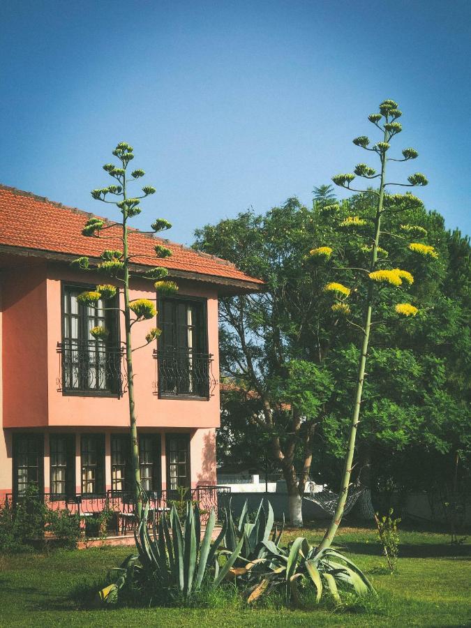 Palme Hotel