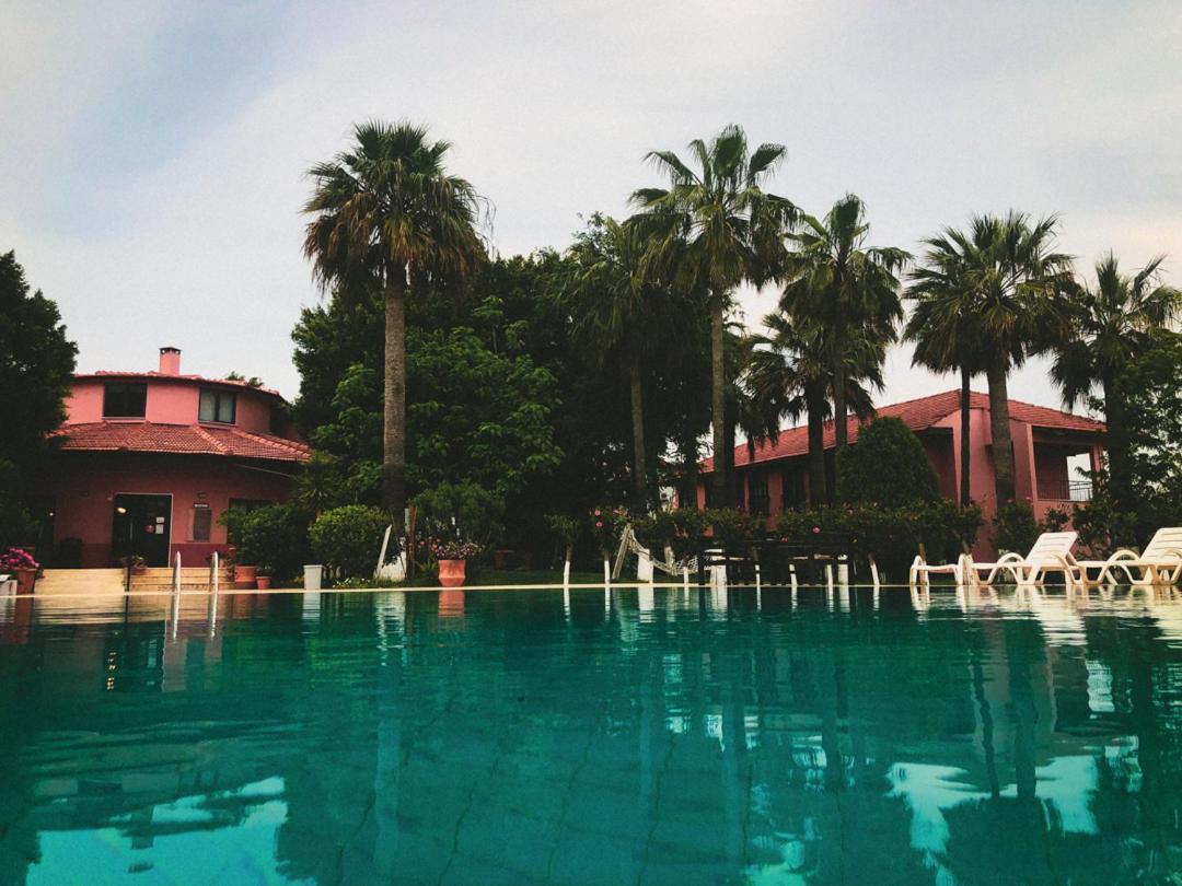 Palme Hotel