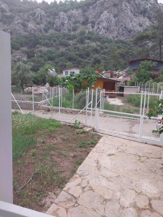 Homestay Village Garden *