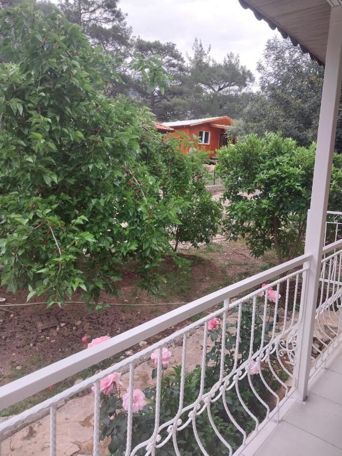 Village Garden Homestay *