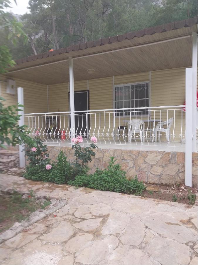 Village Garden Homestay