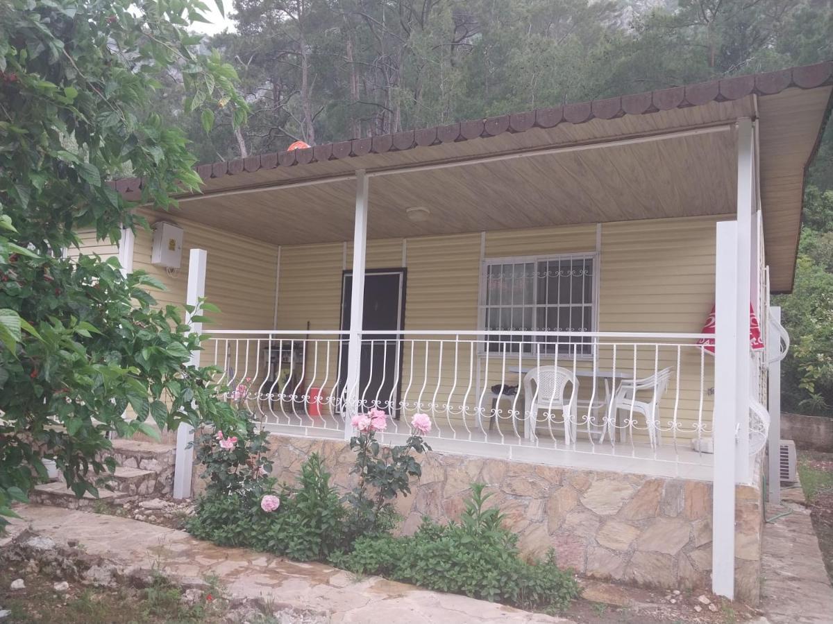 Homestay Village Garden