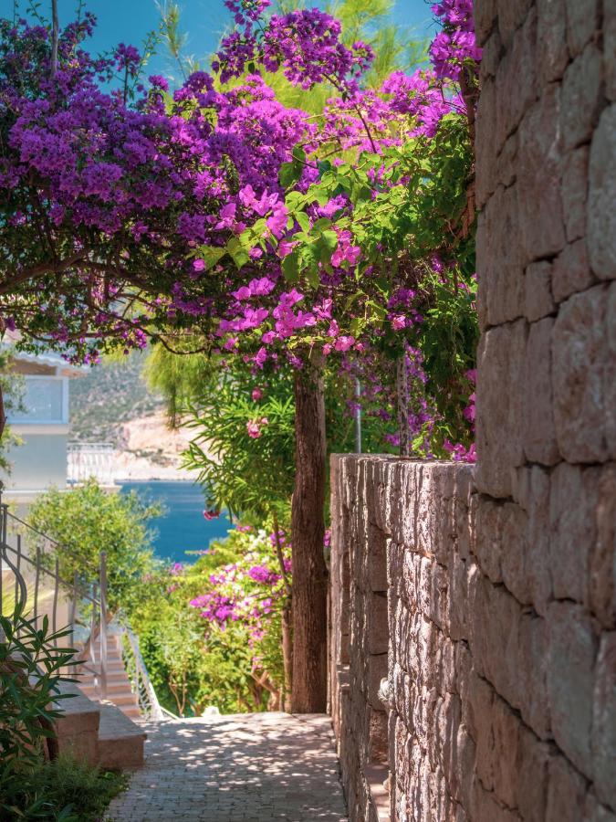 Hotel Lukka Exclusive - Adult Only +12