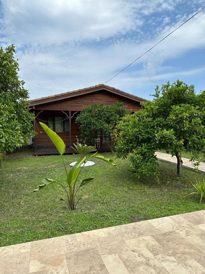 Villa Vi̇llas *
