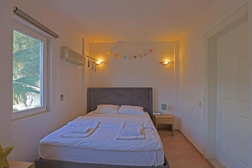Apartment Mola 2