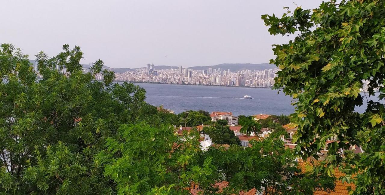 Hotel Bueyuekada Anastasia Meziki History Mansion