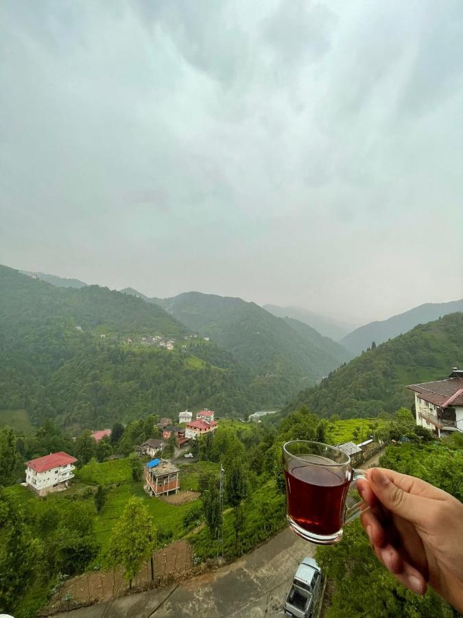 Dereli Delux Apartment Rize
