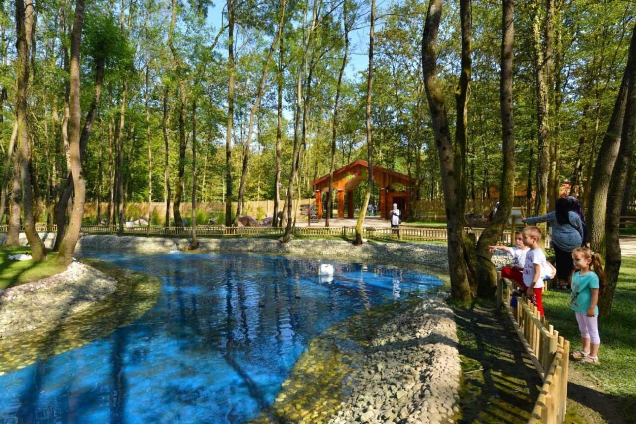 Wellborn Luxury 5* Kocaeli