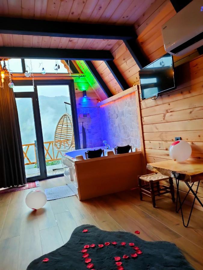 Chalet Elva Camlihemsin