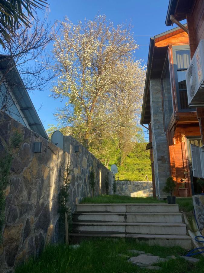 Delmare Lodge *